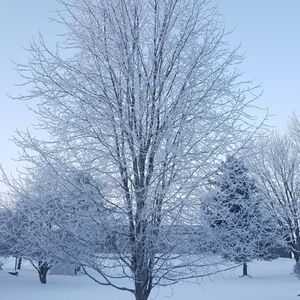 Meet your Posher, Justice